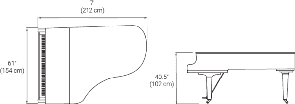 Yamaha C6X - Image 7
