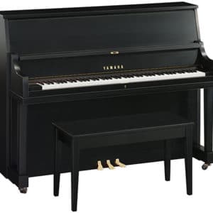 Yamaha P22