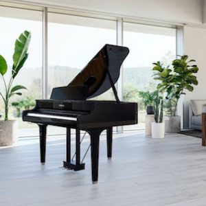 Yamaha Clavinova CLP-895GP